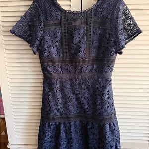 Ann Taylor Petite Navy Lace Mini Dress
